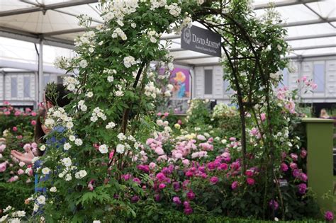 Highlights from the RHS Chelsea Flower Show 2023 | BBC Gardeners World ...