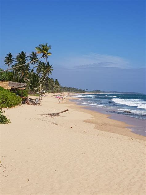 Beaches in Tangalle 😍🌊👌 Tangalle, Sri Lanka, Beaches, Water, Outdoor, Gripe Water, Outdoors ...