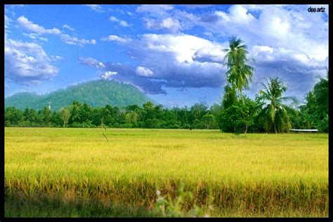 Sawah Padi by TheCalling on deviantART | Padi, Landscape paintings ...