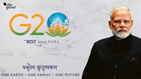 In Diversity Pitch, PM Modi Unveils Lotus As G20 India Logo: What Does ...