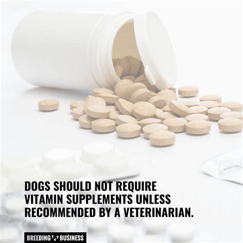 Side Effects of Dog Health Supplements – Iron, Vitamins & More