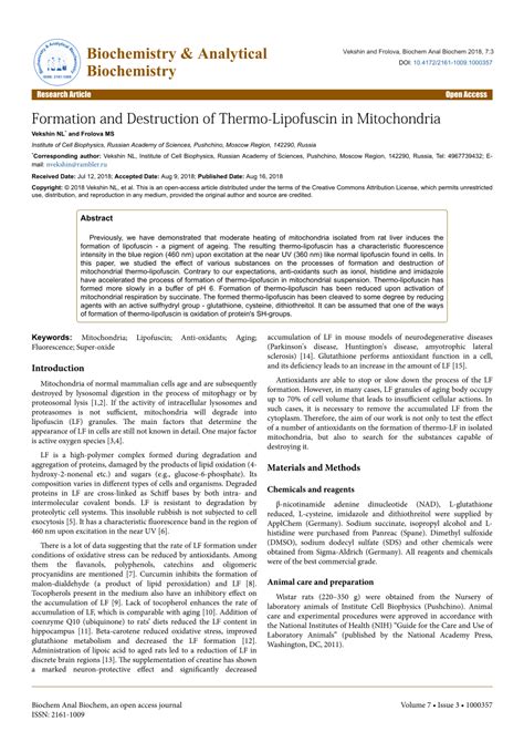 (PDF) Formation and Destruction of Thermo-Lipofuscin in Mitochondria