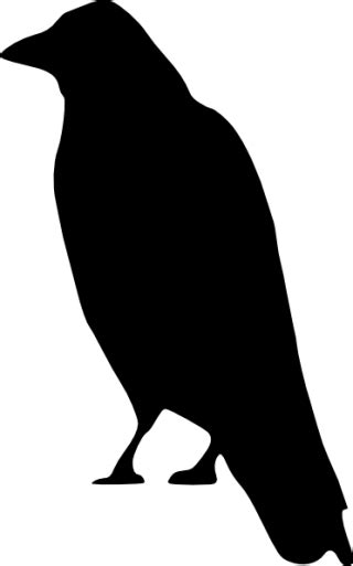 Raven PNG, Raven Transparent Background - FreeIconsPNG