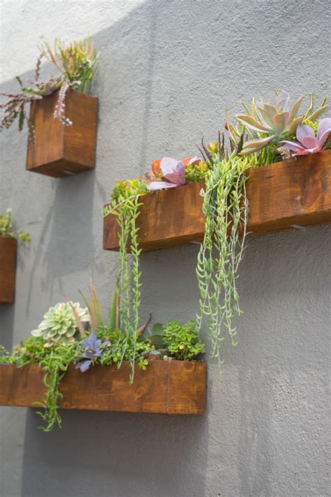 13 Outdoor Succulent Wall Garden Ideas - Dalla Vita | Succulent wall garden, Vertical garden diy ...