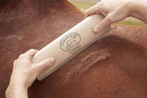 The ULTIMATE horse grooming tool! Safe, gentle and highly effective. - SleekEZ