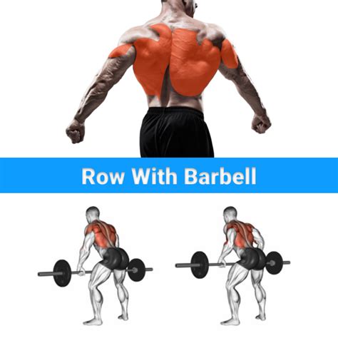 Row with Barbell | Good back workouts, Back exercises, Back muscles