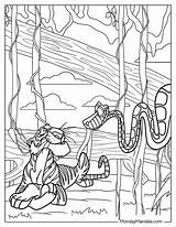 26 Jungle Book Coloring Pages Free PDF Printable sketch template