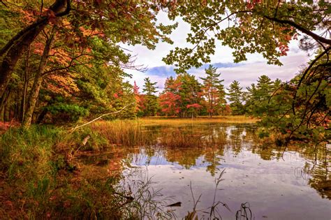 Fall in Kansas: Best Fall Foliage + Activities - Midwest Explored