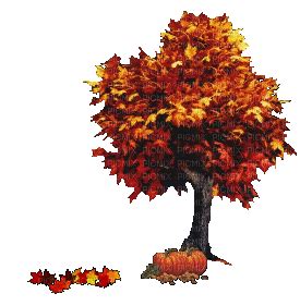 fall tree leaves gif, fall , tree , leaves , gif , autumn - GIF animado ...