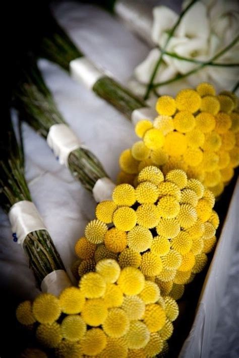 billy buttons! | Yellow wedding flowers, Flower arrangements, Yellow bouquets