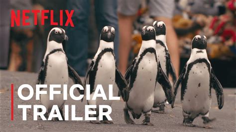 Penguin Town | Official Trailer | Netflix - YouTube