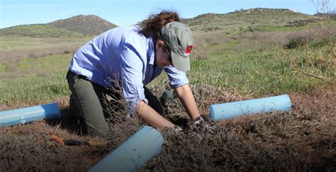 Plant Conservation | San Diego Zoo Institute for Conservation Research