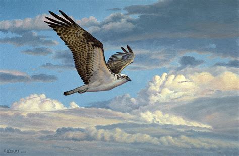 Osprey In The Clouds Painting by Paul Krapf