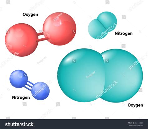 Nitrogen Molecule And Oxygen Molecule Stock Vector Illustration 363447581 : Shutterstock