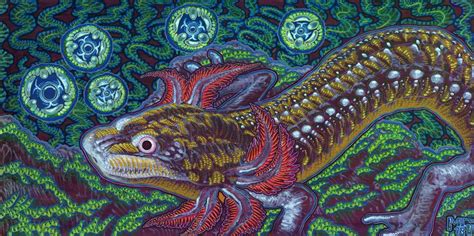 Barton Springs Salamander | Visionary art, Barton springs, Art