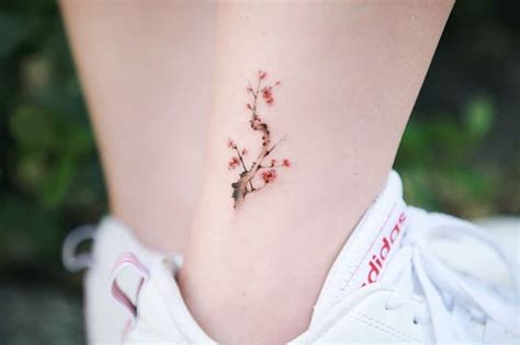 One of my favorite flowers is plum blossom | Tatoo, Tatuagens, Tatuagem