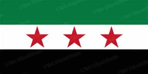 Déclaration pour la Syrie – A l'encontre