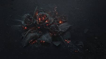 Gothic Black Roses Wallpaper