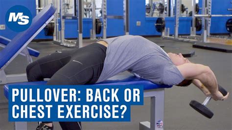 Dumbbell Pullover: Chest or Back Exercise? - YouTube