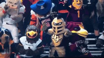 Mascot GIF by UCF Knights - Find & Share on GIPHY