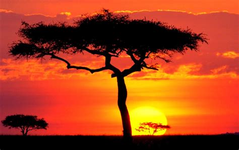 African Sunset Wallpapers - Top Free African Sunset Backgrounds ...