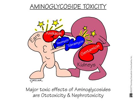 Bacterial Infections Increase Risk of Hearing Loss Due to Antibiotics - The Gazette Review