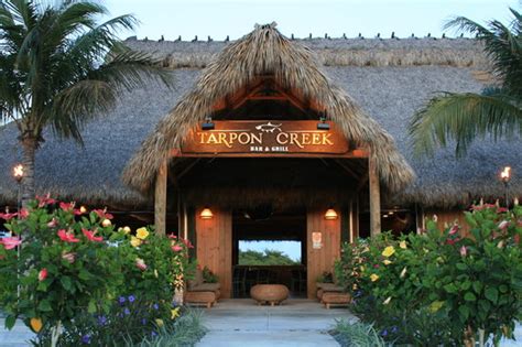 Tarpon Creek Bar & Grill, Marathon - Restaurant Reviews, Phone Number ...