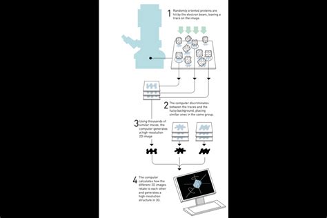 Freeze frame: Scientists use new electron microscope to explore the ...