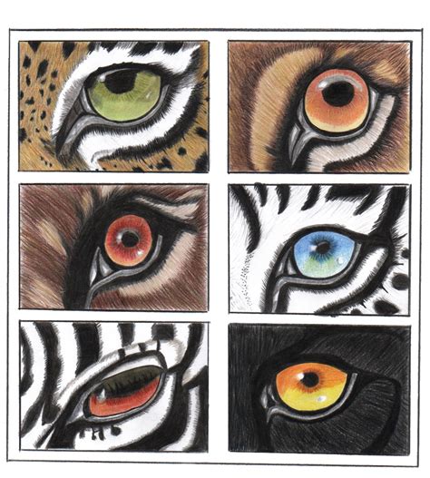 Dibujar ojos de animales - Imagui