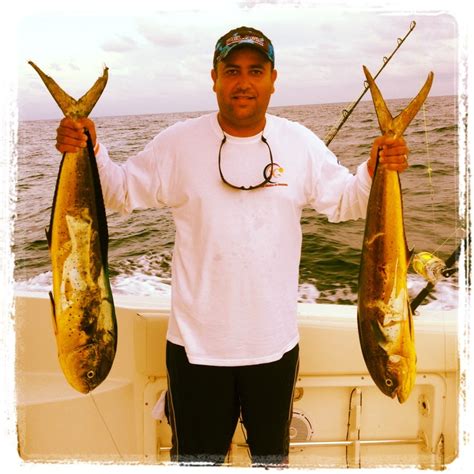 Mahi Mahi Fishing | Fish, Mahi mahi, Fishing tips