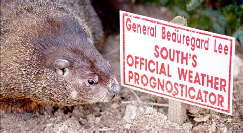 Groundhog Day in Georgia: General Beauregard Lee predicts the weather