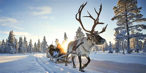 Winterurlaub in Finnland