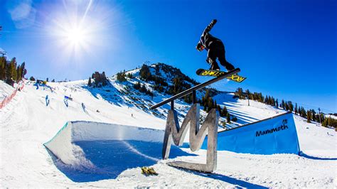 The 2014 U.S. Olympic Snowboard Team