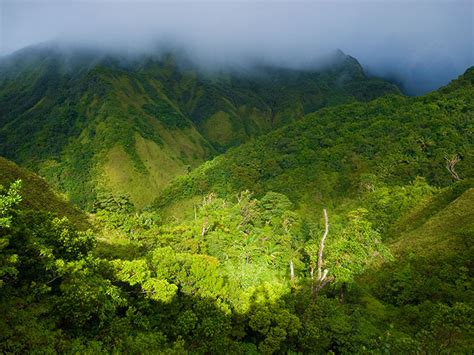 Learn about Dominica - Culture, History, Heritage and more | a virtual Dominica