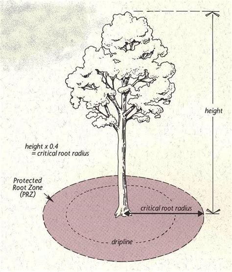 Tree Drip Irrigation Kit Buying Guide Drip Depot DIY