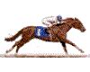 Horse Racing - Horses Icon (4486406) - Fanpop