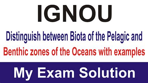 Biota of the Pelagic and Benthic Zones of the Oceans - My Exam Solution