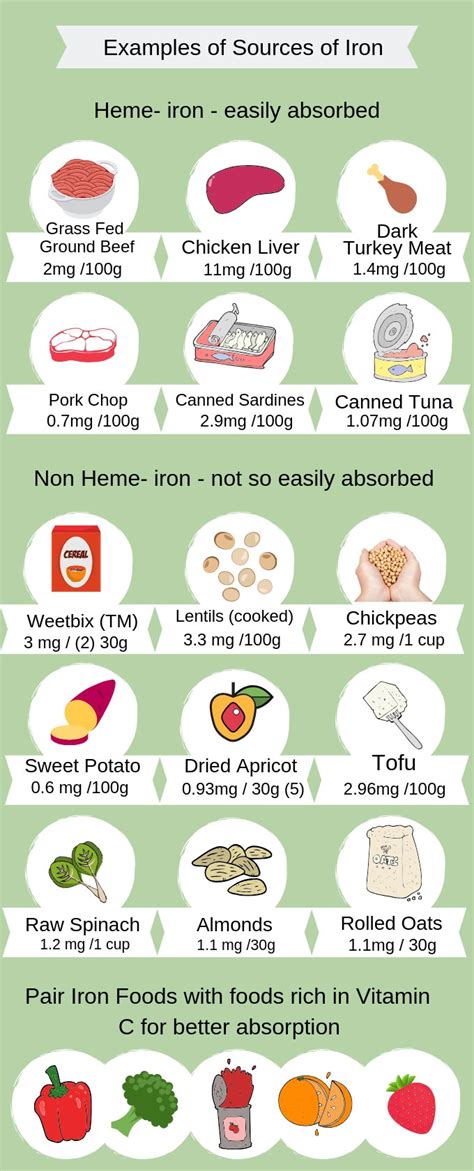 Iron Rich Foods For Toddlers Handout | Deporecipe.co