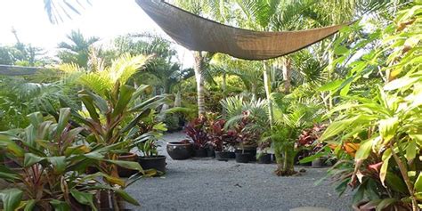 South Maui Gardens: Kihei's One-Stop-Shop for Nursery Plants - South ...