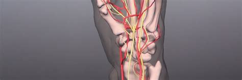 Hand Surgery | Stanford Hand Surgery | Stanford Medicine