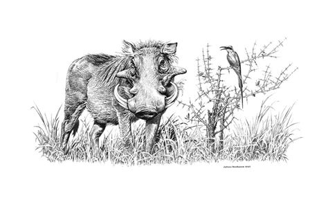 Posts about Warthog on Johan Hoekstra Wildlife Art Collection | Wildlife art, Wildlife paintings ...