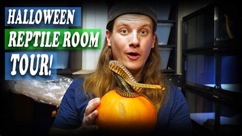 Reptile Room Tour - October 2022 - YouTube