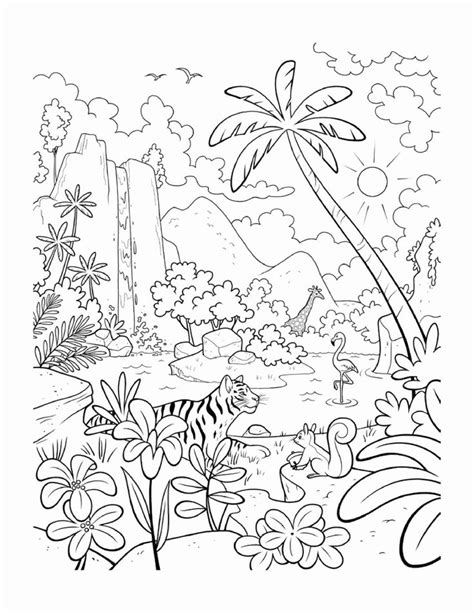 Rainforest Plants Coloring Pages