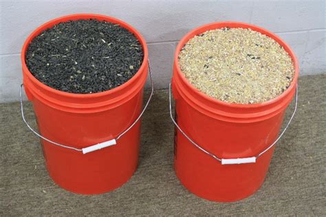 Bulk Bird Seed - 2 Qty 5 Gallon Buckets | Big Deals 4 U Auction | K-BID