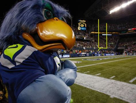 32 best images about Seahawk mascots on Pinterest | 12th man, Richard sherman and Super bowl