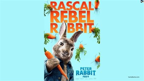 Peter Rabbit - Peter Rabbit Movie fond d’écran (41434390) - fanpop