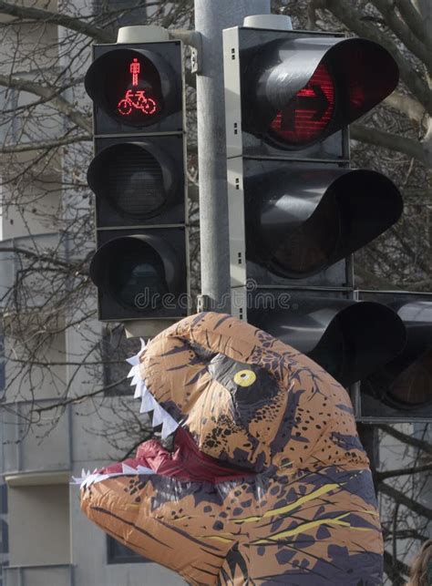 Pedestrian Traffic Light on the Street Stock Image - Image of infrastructure, engineering: 202453591