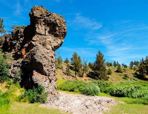 Premium Photo | High desert scene at borden beck wildlife preserve along the deschutes river ...