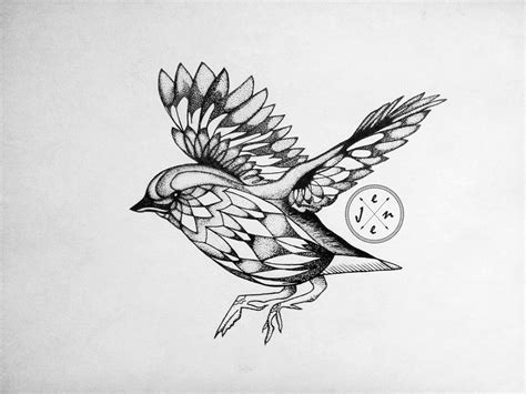 Illustration of a bird as a symbol of freedom and light on Behance