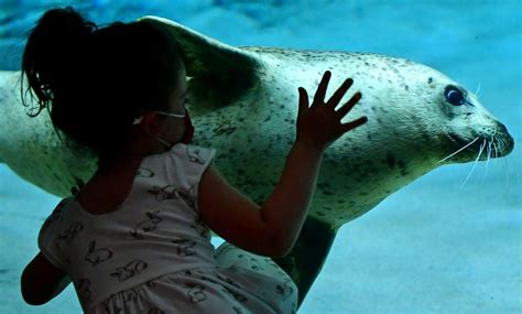 Maritime Aquarium to host Teachers Appreciation Weekend